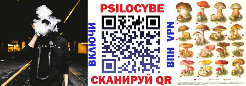 Галлюциногенные грибы Psilocybe Красный Сулин