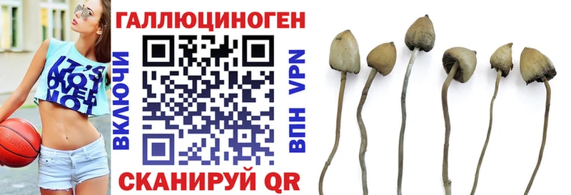 Галлюциногенные грибы Cubensis  Красный Сулин 